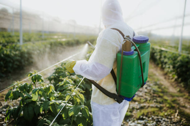 Best Mosquito Control Services  in Darnestown, MD